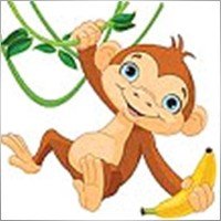 ElSayed_Amina